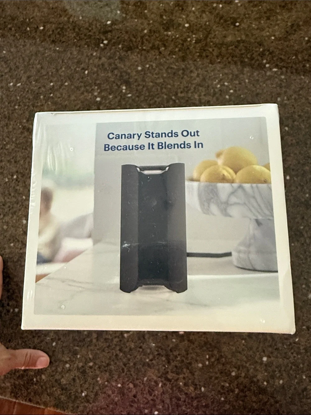 Canary view indoor